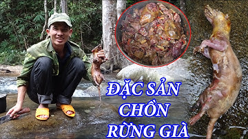 VÀO RỪNG GIÀ SỐNG | T4 - Chồn Bạc Má 2 Món, Cuộc Sống Hoang dã, Trải Nghiệm Trong Rừng