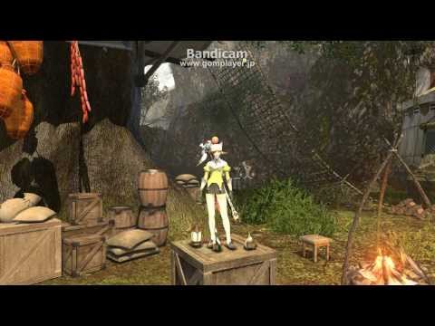 FF14 白変身マクロ