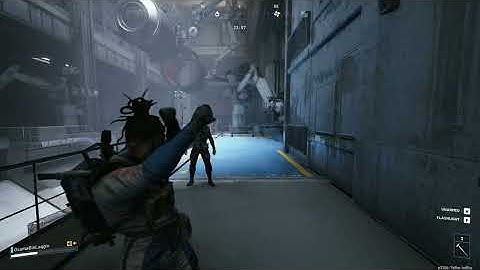 Friendliest Stella Montis Solo Interaction 