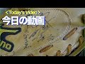 今日の動画 Today's movie #1214