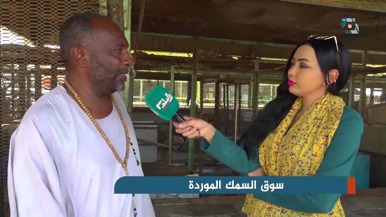 قناة البلد من سوق السمك الموردة