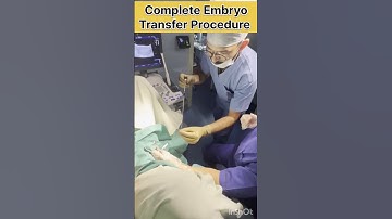 Complete Embryo Transfer procedure in IVF by Dr Rakshita Malik #doctor #ivf #ivfprocess #mbbs #short