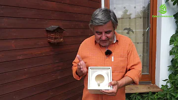 Kdo je pták na krmítku IV.?