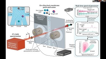 Raman Flow Cytometry - Fermentation Webinar