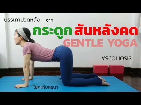 โยคะ แก้ปวดหลัง จากกระดูกสันหลังคด | GENTAL YOGA | YOGA FOR SCOLIOSIS