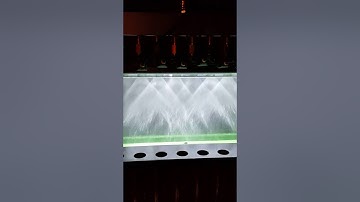 Test and clean Mercury Optimax Air Injectors at TorontoInjectors.com