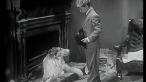 Lassie - Episode 1 - "Inheritance" -  Part 1 - (Originally broadcast 09/12/1954)