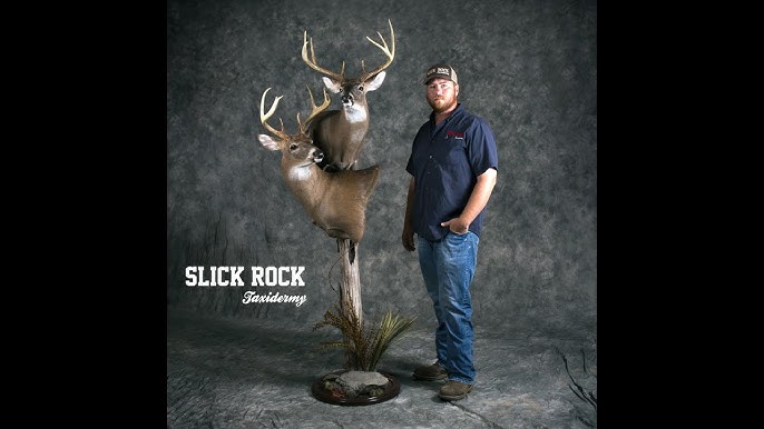 14+ Deer Caping Diagram - JakobeBrendon