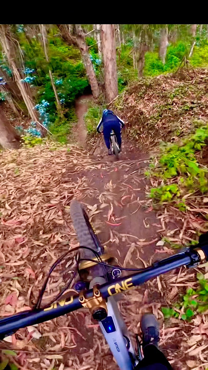 HECKLER SL IN THE JUNGLE #santacruzbicycles #music #rap #edit #mtb #shortsfeed #shorts #gopro #fun
