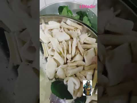 Resepi Kulat Pusu