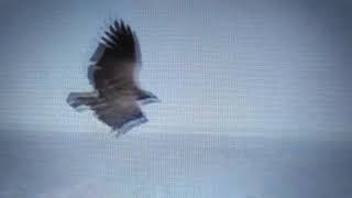 Orang yang berharap Tuhan