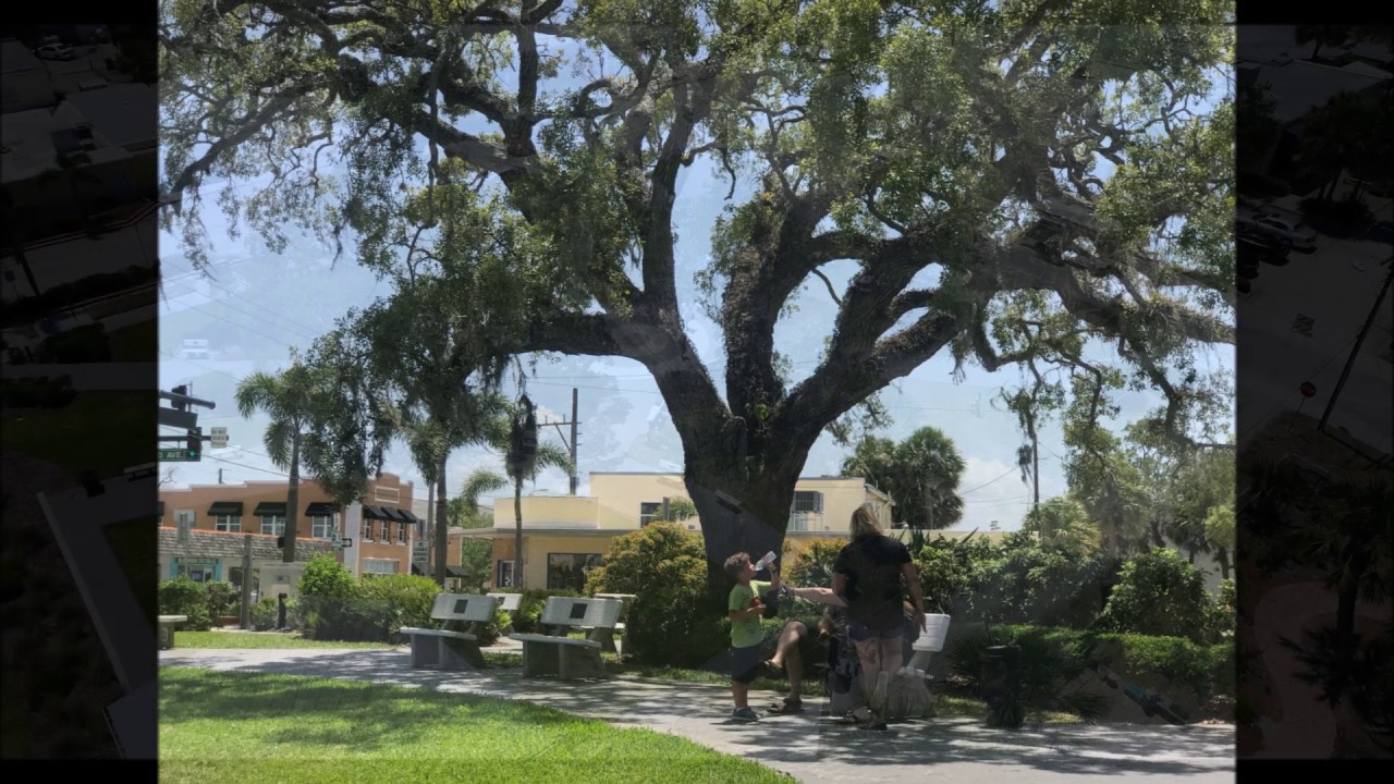 Eau Gallie Square YouTube