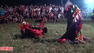 Tari Kucingan Barong Muncul Budoyo Live Mojoroto