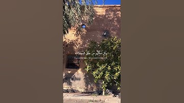الذين صبروا وعلى ربهم يتوكلون)قراءة جميلة بصوت القارئ #عبدالرحمن_مسعد🙏🏻 #قران #قارئ #القرآن_الكريم