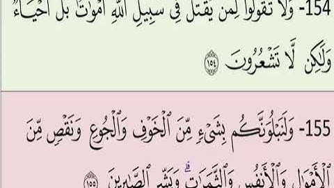 صفحة 24 من سورة البقرة مكررة بصوت الشيخ محمود الحصرى