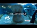 360 Shark Tank Dive