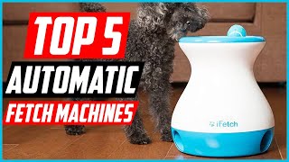 ✅Top 5 Best Automatic Fetch Machines For Dogs Reviews in 2024