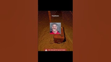 Bugs in the game-RUST