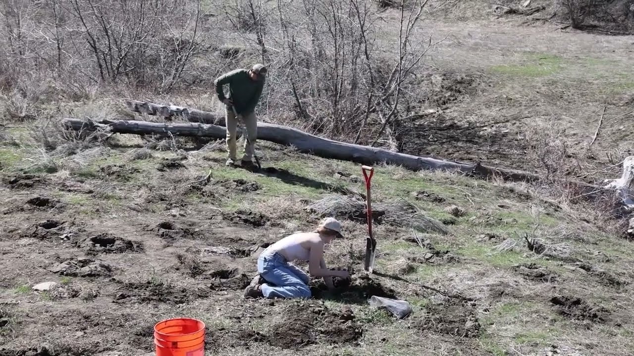 2023 Spring Planting Project