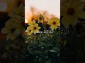 ما تيسر من سورة الشعراء بصوت الشيخ محمود علي البنا