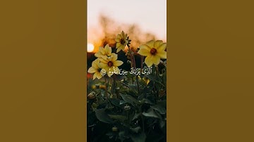 ما تيسر من سورة الشعراء بصوت الشيخ محمود علي البنا ❤️❤️🌹