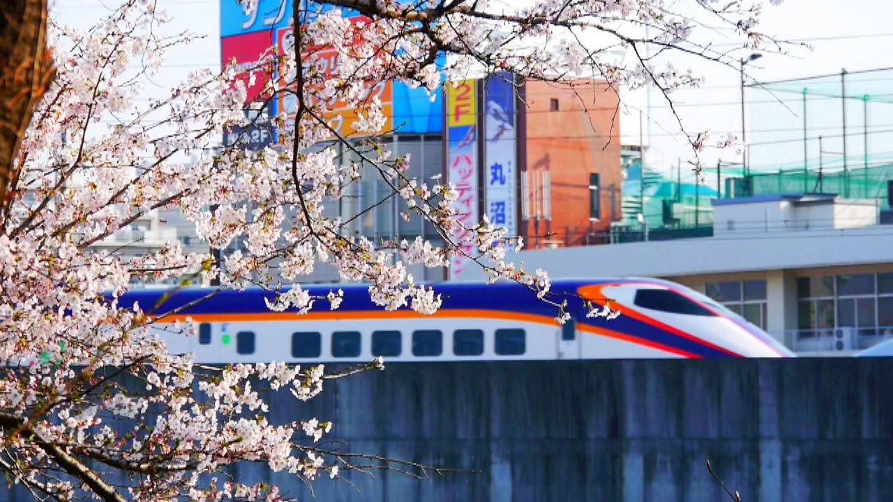 鉄道PV】山形新幹線「桜咲く東京」 - YouTube