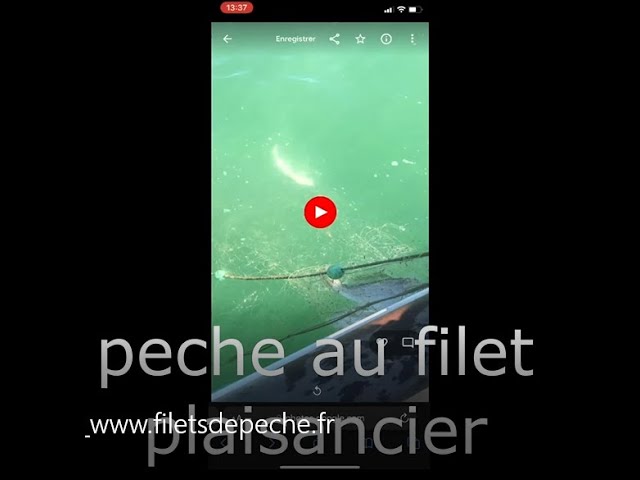 Vidéo d'une pêche au filet plaisancier sur le bateau. Filet type araignée (une nappe)