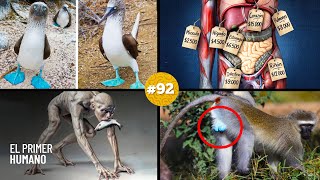 🧠 ¡20 DATOS CURIOSOS que NO sabías hace 5 minutos! 😱#92