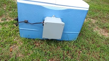IMPROVED COOLER LIVE WELL #1