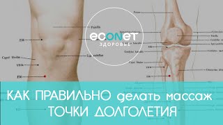 КАК ПРАВИЛЬНО делать массаж ТОЧКИ ДОЛГОЛЕТИЯ | econet ru КАК ПРАВИЛЬНО делать массаж ТОЧКИ ДОЛГОЛЕТИЯ | econet ru