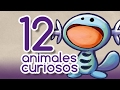 Los 12 animales más curiosos - CuriosaMente 60