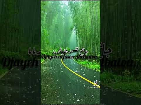 سيد علي لقام يا اللاتي بعيوب الناس