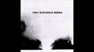 Two Wounded Birds - No Goodbyes