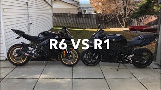 What’s Better? Yamaha R6 VS R1! Real World Review.