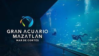 gran acuario de mazatlán