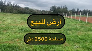 أرض للبيع مساحة 2500 متر مربع في سيدي يحي زعير طريق عين عودة محفضة 0667363818