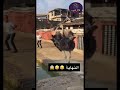 ديك رومي يقتل رجلTurkey Kills A Man