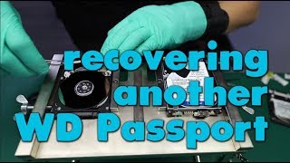 how to recover data on WD Passport drive