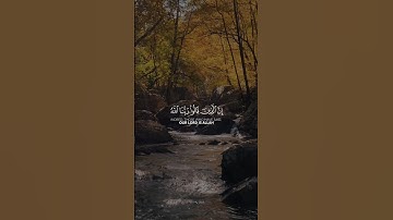 إِنَّ الَّذِينَ قَالُوا رَبُّنَا اللَّهُ ثُمَّ اسْتَقَامُوا || القارِئ زين الحَديدي || من سورة فصلت