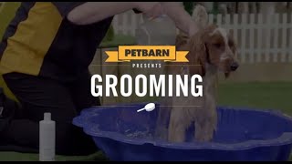 Petbarn presents: How to groom your dog 