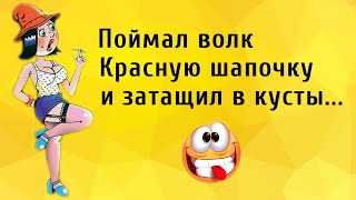 Поймал Волк Красную Шапочку... Анекдоты Онлайн! Короткие Приколы! Смех! Юмор! Позитив!