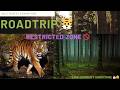 Kali Forest Road Trip🚙 Nature,Wildlife & Relaxing Views ❤️ #KaliForest #Wildlife #travel #viral