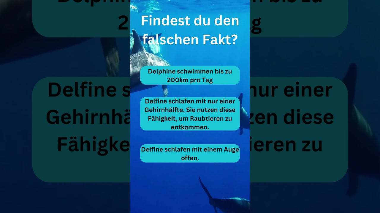 Bist du schlau genug, um die Lüge zu entlarven? 