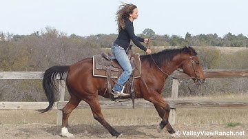 Sonofagun - riding in outdoor arena - Valley View Ranch