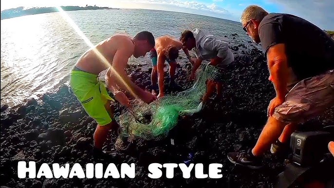 Hawaiian style fishing [BIG AHOLEHOLE & MOI]Throw Net fishing in