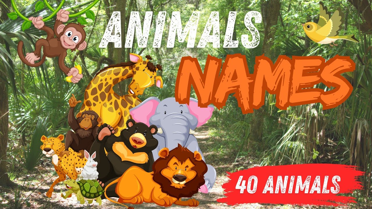 40 Animals Names For Toddlers Learn English For Kids Learn Fun 40-animals-names-for-toddlers-learn-english-for-kids-learn-fun