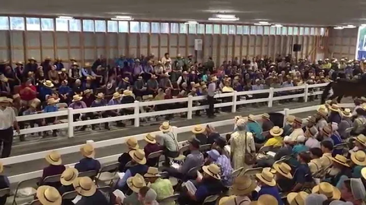 Auctioneer Dale Chupp selling horses