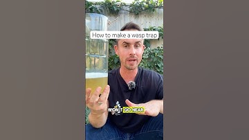 How to make a wasp trap #garden #gardening