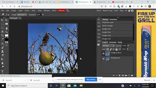 Form - Photopea video tutorial screenshot 4