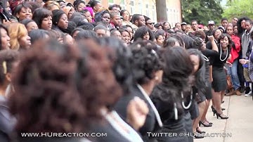 Zeta Phi Beta (Alpha Chapter) Probate @ Howard University 2012